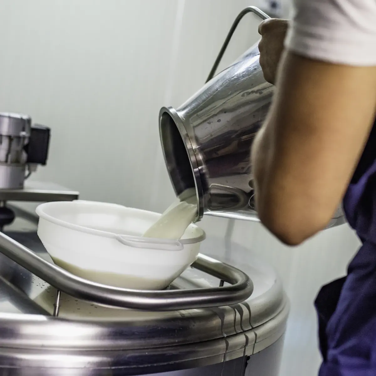 Milch wird aus einer Kanne in einen Kessel gefüllt