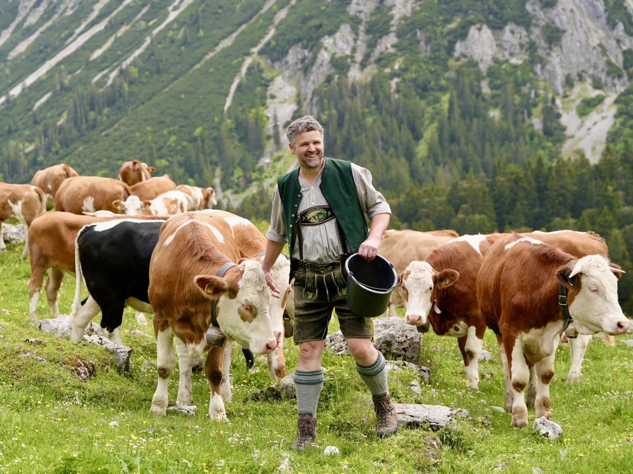 Ein Miesbacher Milchbauer mit seinen Kühen auf der Weide