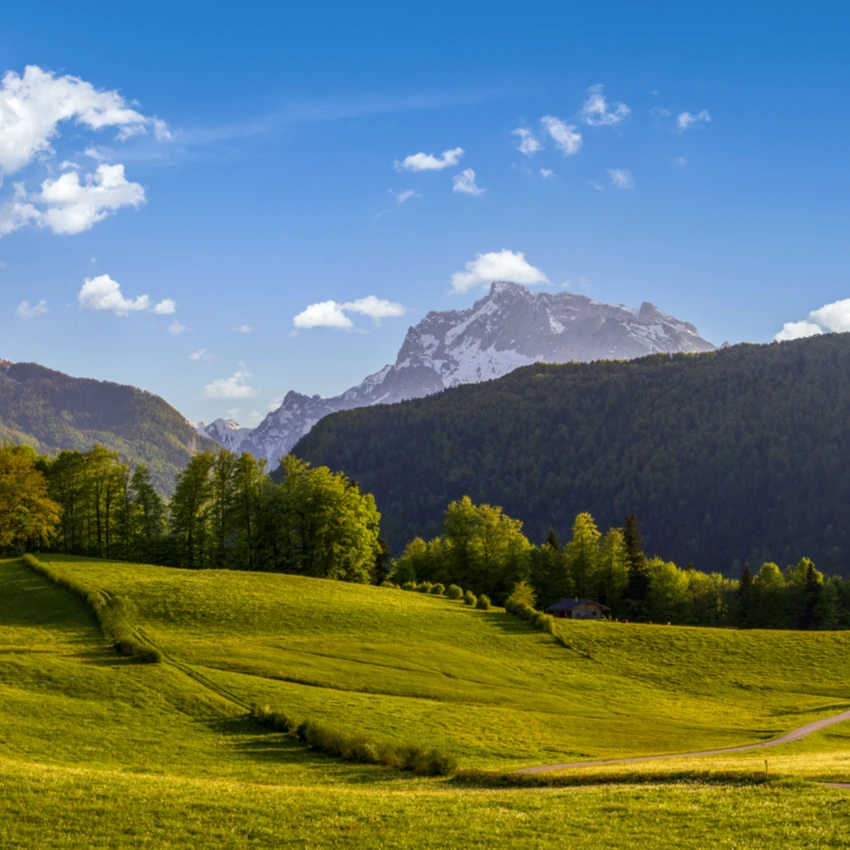 Oberland eG - Bild von einer Landschaft mit grüner Wiese, Bergen und blauem Himmel