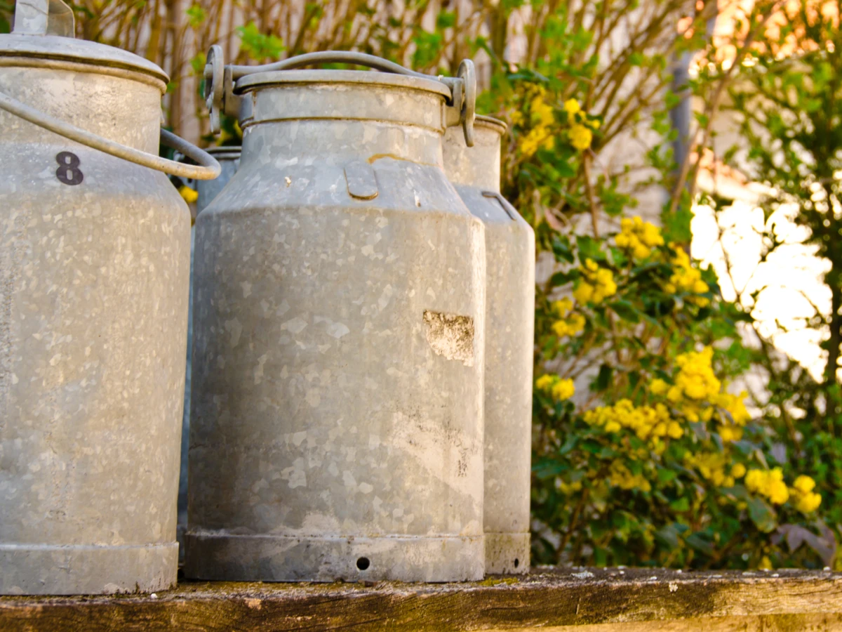 Klassische Milcheimer aus Metall stehen auf einem Podest