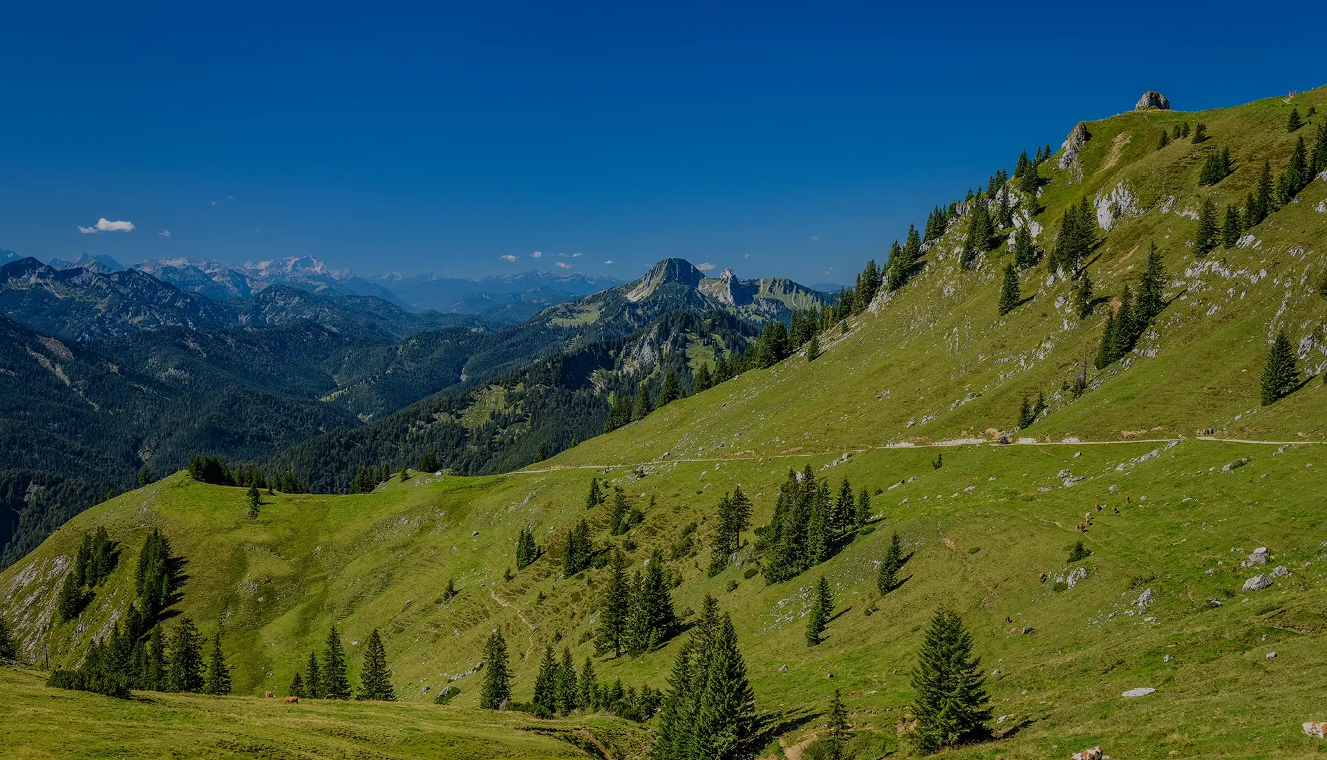 Oberland eG - Berglandschaft bei Miesbach